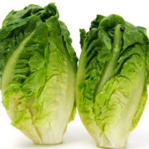 ENCIAM CABDELLS (COGOLLO) - UNITAT